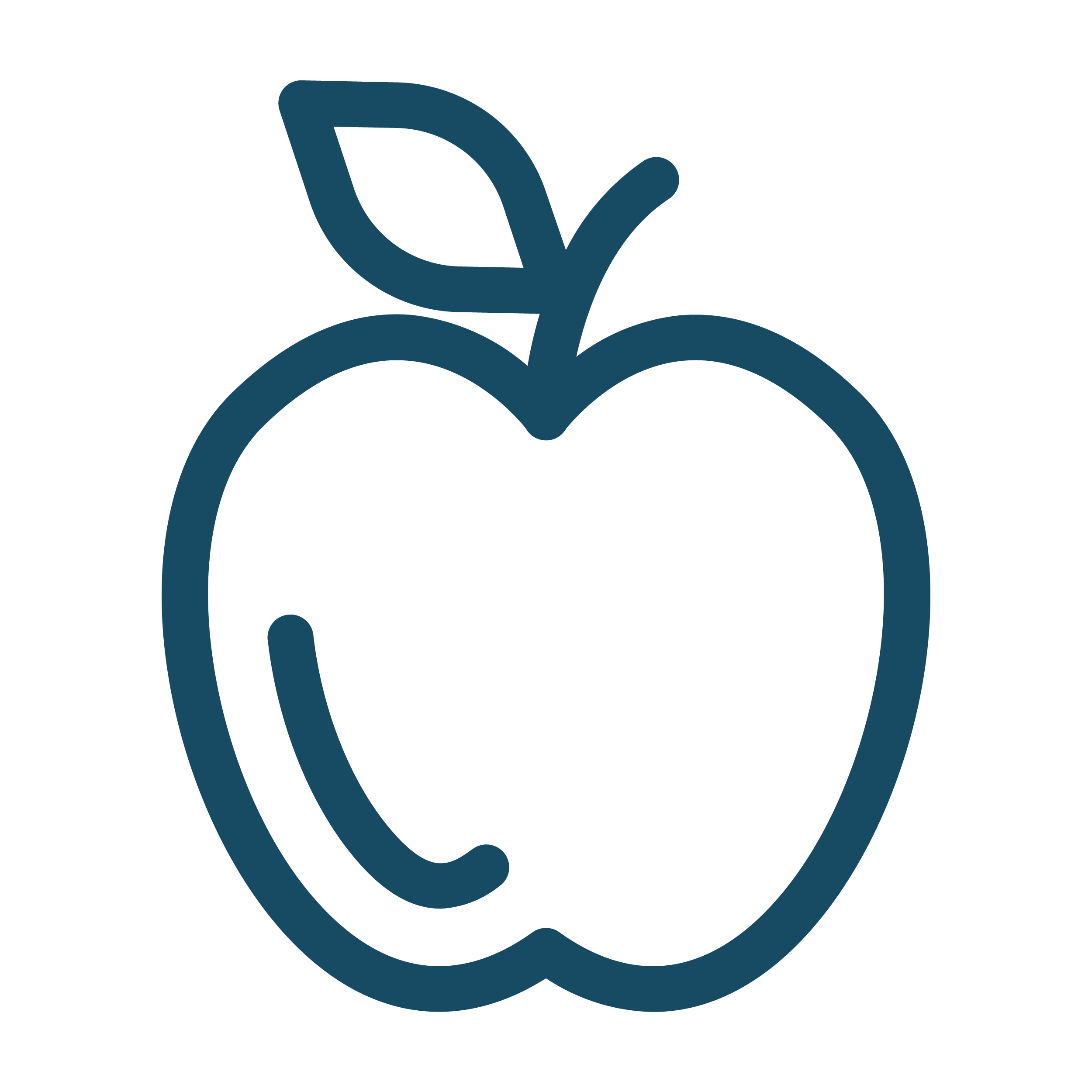 Icon of an apple