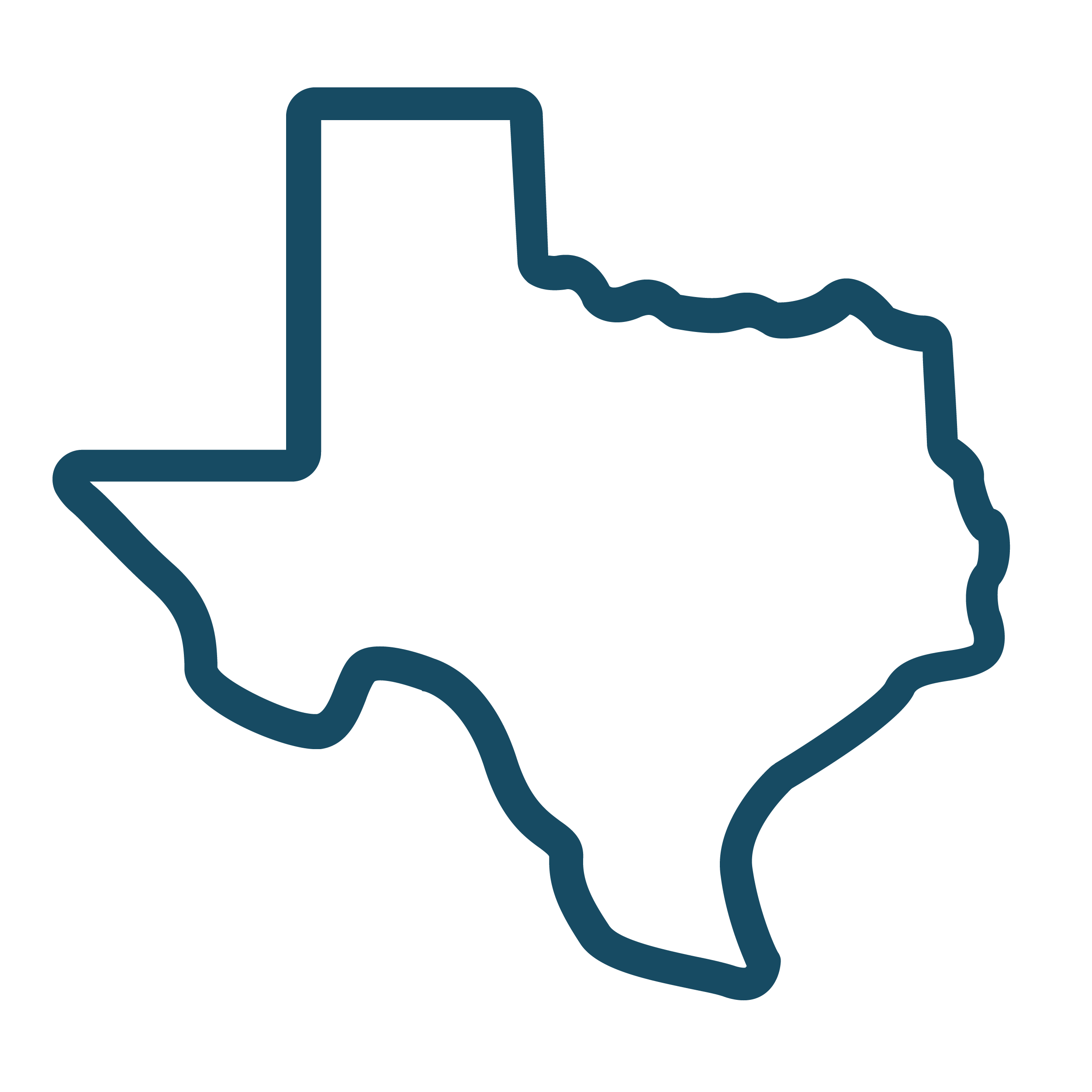 Icon of Texas