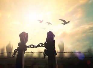 Person in chains in front of barbed wire, with sunrise and birds