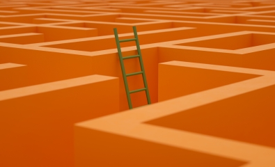 A maze (orange color) with a green ladder out