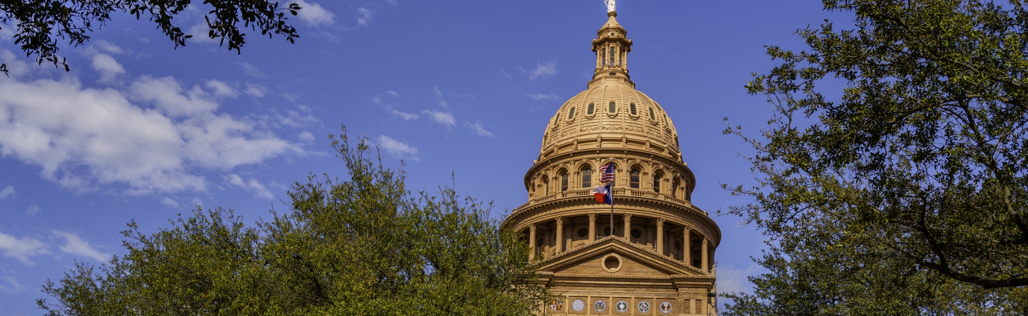 Texas Capitol building with blue sky and trees