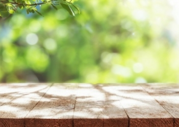 Empty wooden table outside under green tree